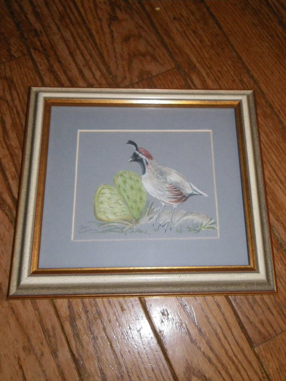 Vintage Framed Sketch Art Desert Bird Gambrel’s Quail & Cacti